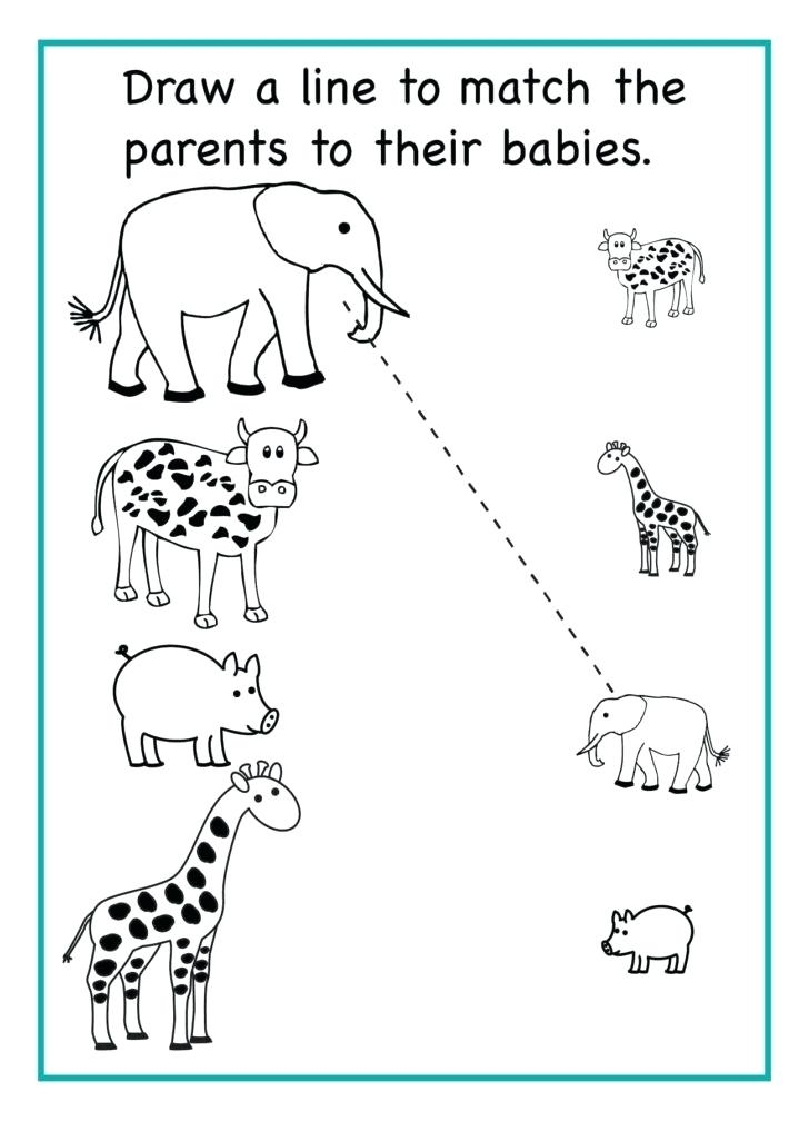 10 Printable Preschool Worksheets Ideas Printable Pre Vrogue co