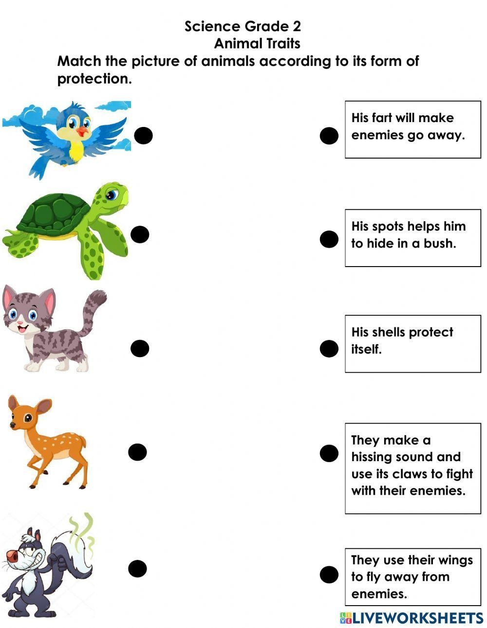 2nd Grade Plant And Animal Worksheets Worksheets Library 2nd Grade Plant And Animal Worksheets Worksheets Library