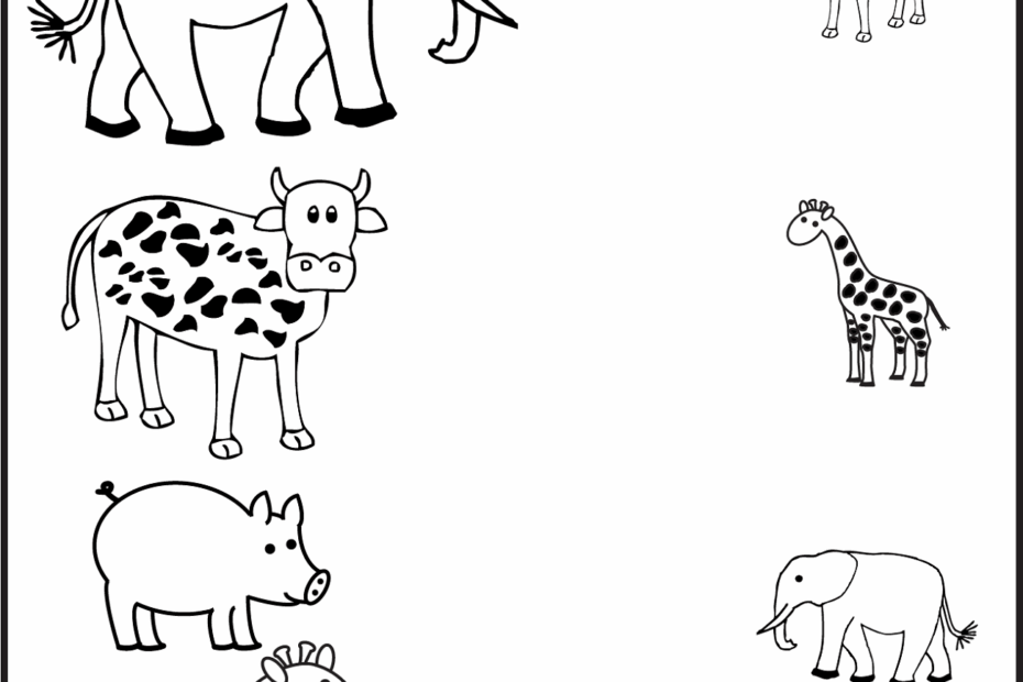 Animal Worksheet For Nursery Class Learning Printable