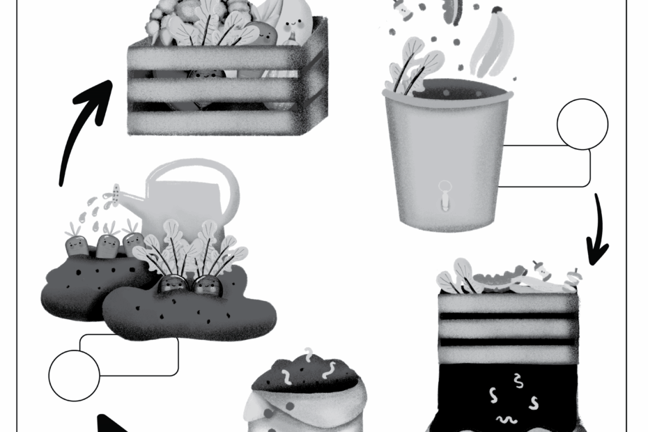 Compost Process Free Worksheet SKOOLGO