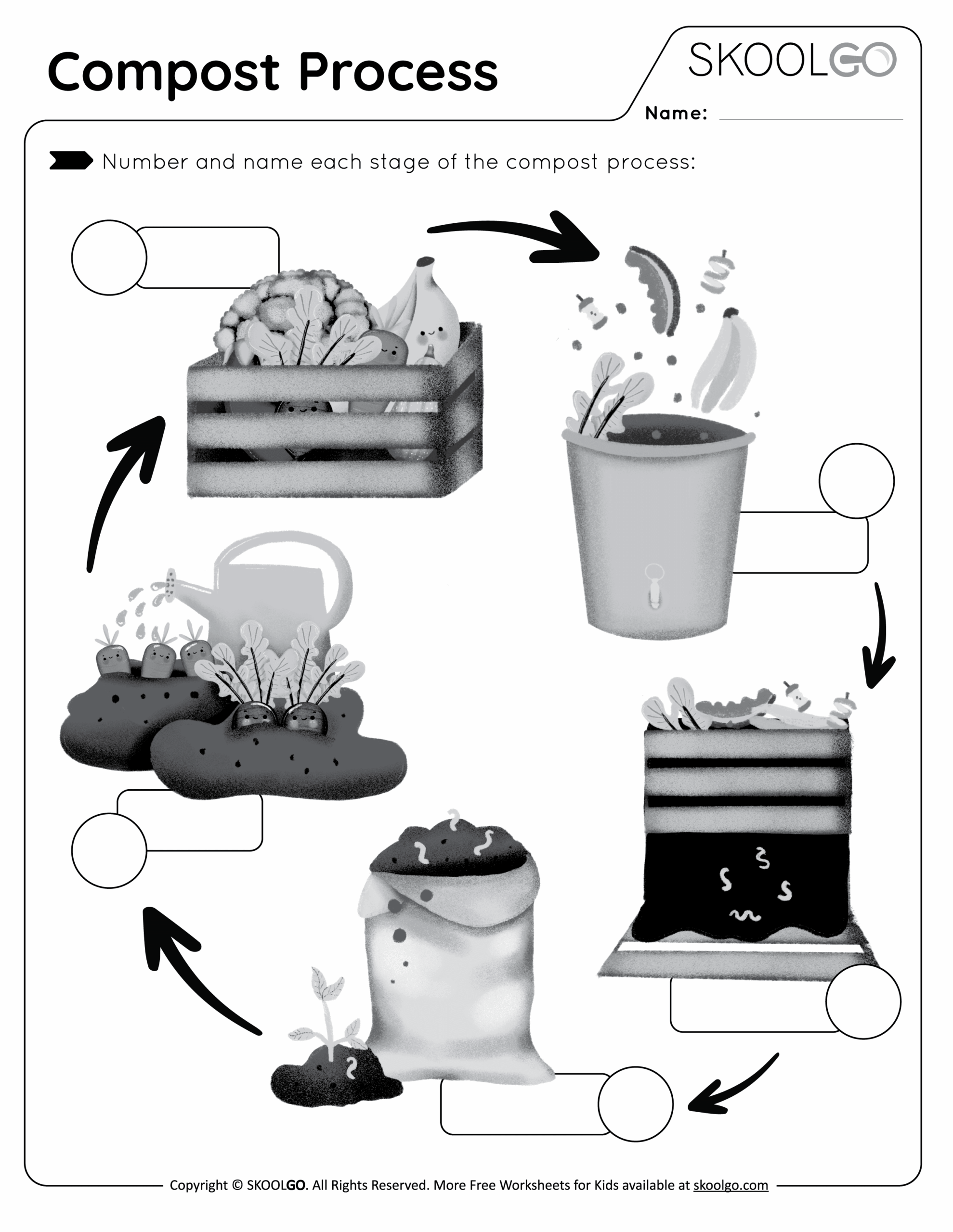 Compost Process Free Worksheet SKOOLGO