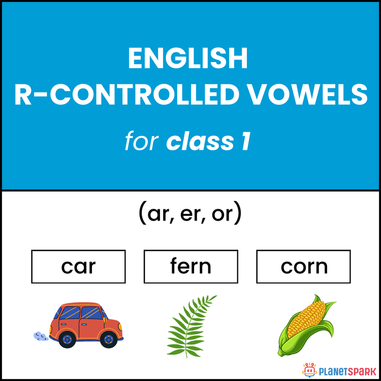 English Worksheet Class 1 Adjectives PlanetSpark