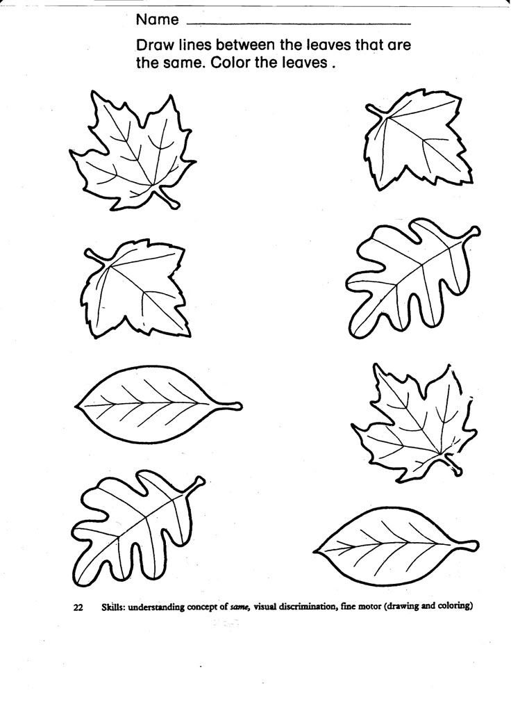 Fall Leaves Worksheets Printables