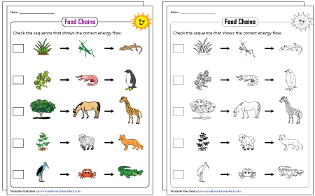 Free K 12 Printable Worksheets Engaging Learning Resources For Students