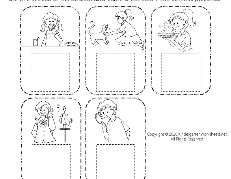 Free Printable Five Senses Worksheet For Kids