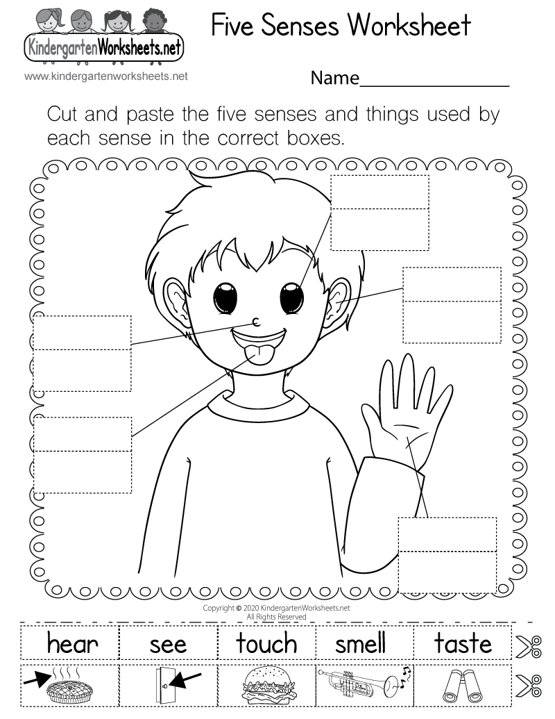 Free Printable Five Senses Worksheet For Kindergarten