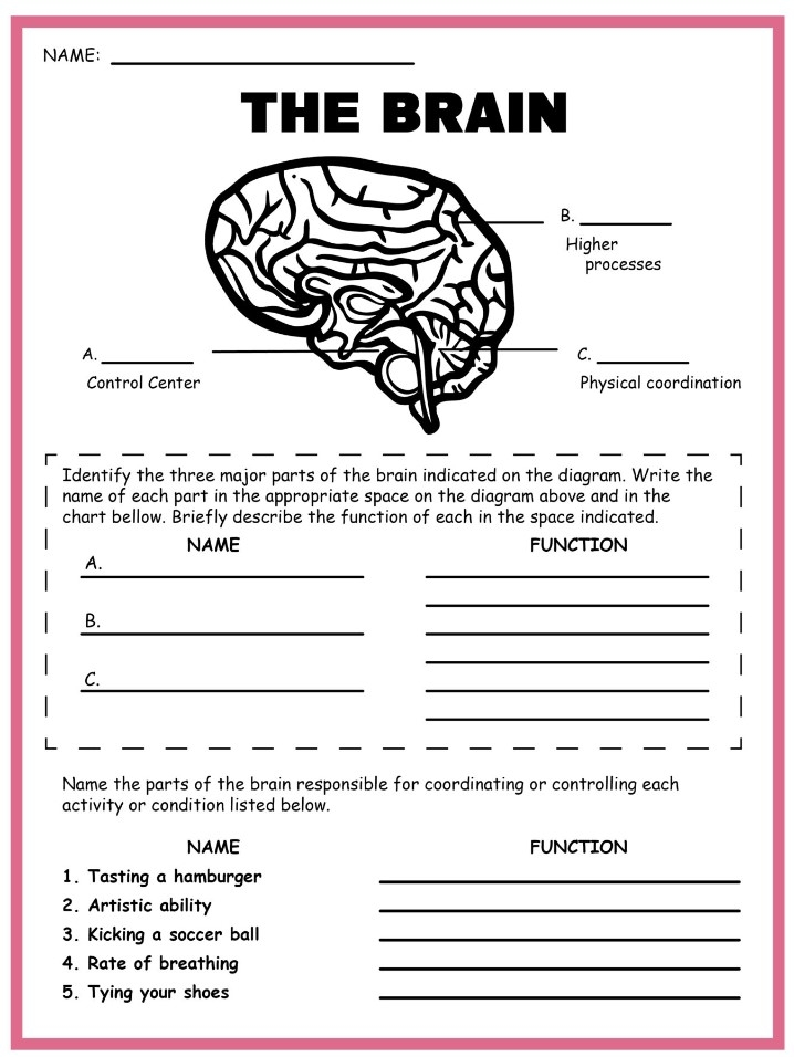 Free Printable Science Worksheets For Kindergarten Kindergarten 