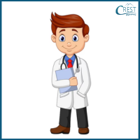 Gender Class 3 Printable Worksheet