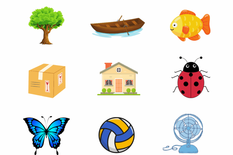 Living Non Living Worksheets Worksheets Day