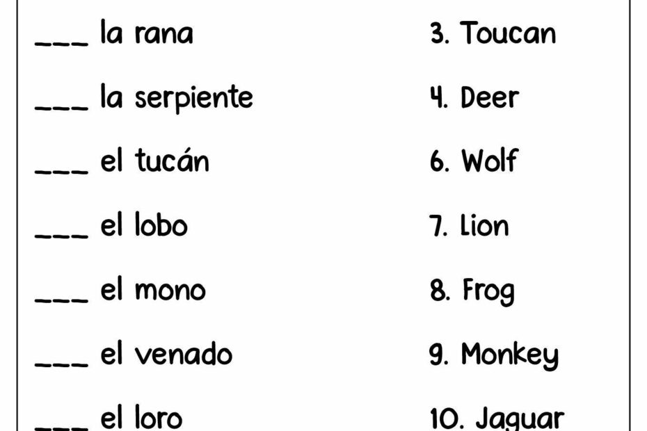 Noun Adjective Agreement Spanish Worksheet Answers