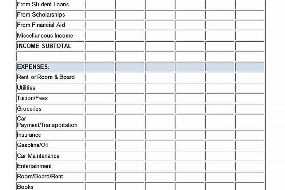 Printable Budgeting Template Printable Worksheets