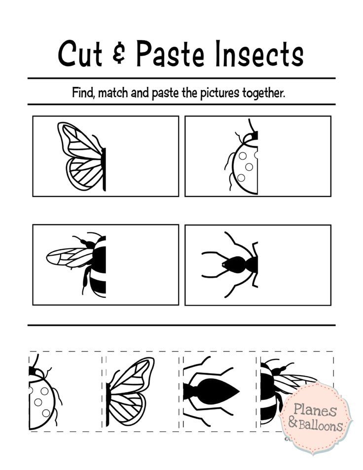 Printable Color Cut And Glue Worksheets