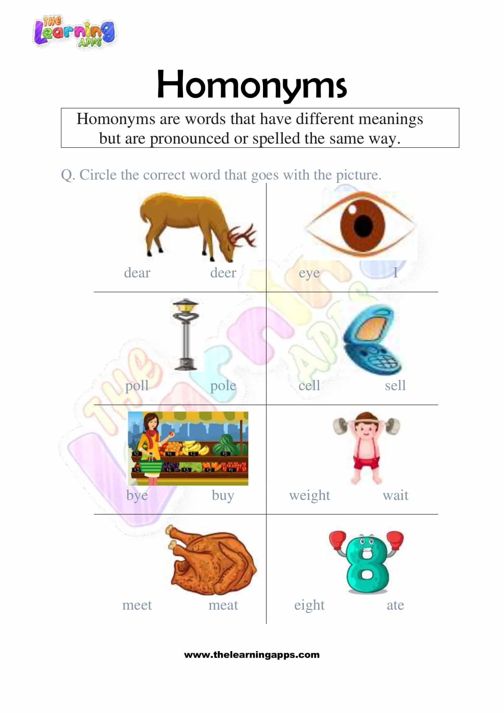 Printable Homonyms Worksheets 2nd Grade