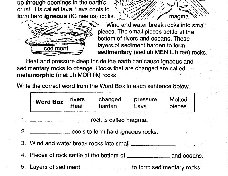 Printable Worksheets For Grade 6 Science Scienceworksheets