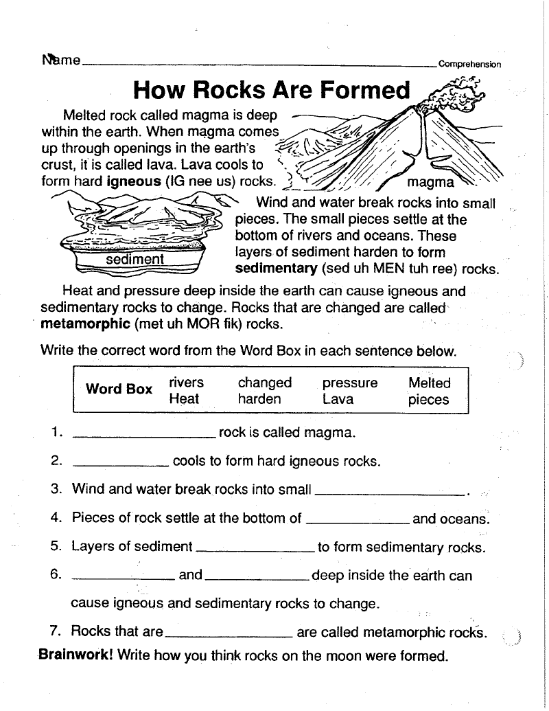 Printable Worksheets For Grade 6 Science Scienceworksheets