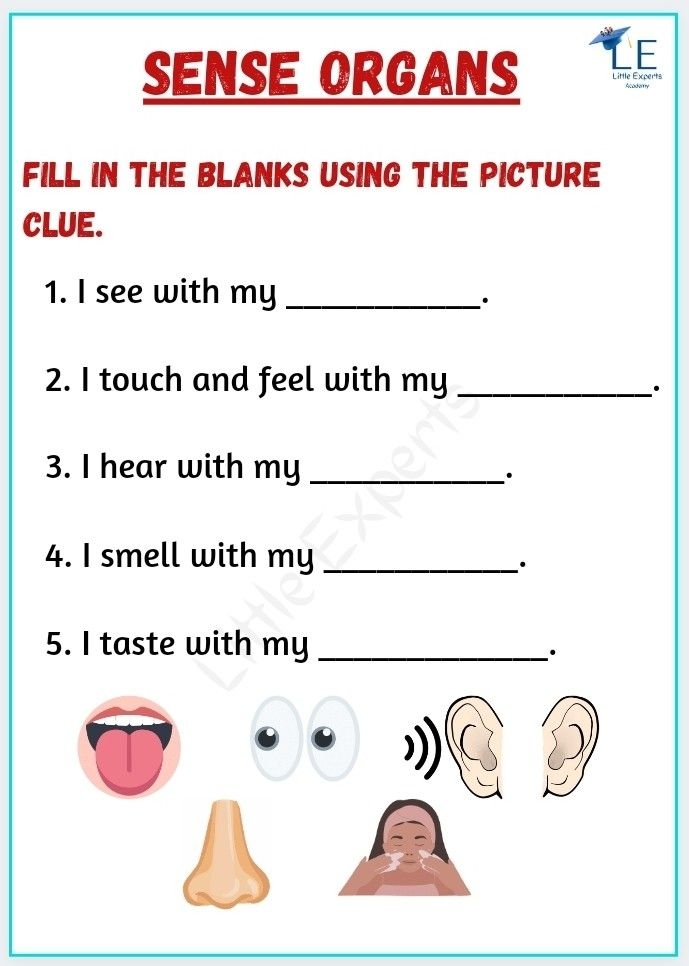 Sense Organs EVS Free Printable Worksheets For Kids Little Experts 