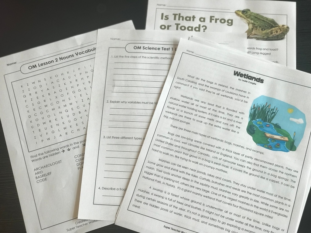 Super Teacher Worksheets Primary Junction Worksheets Library