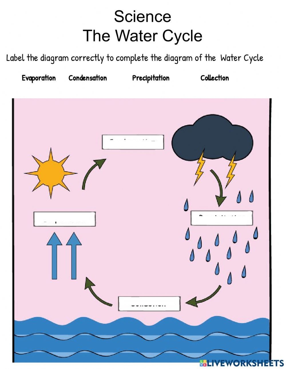 Water Cycle Worksheet Pdf Water Cycle Worksheet Water Cycle 